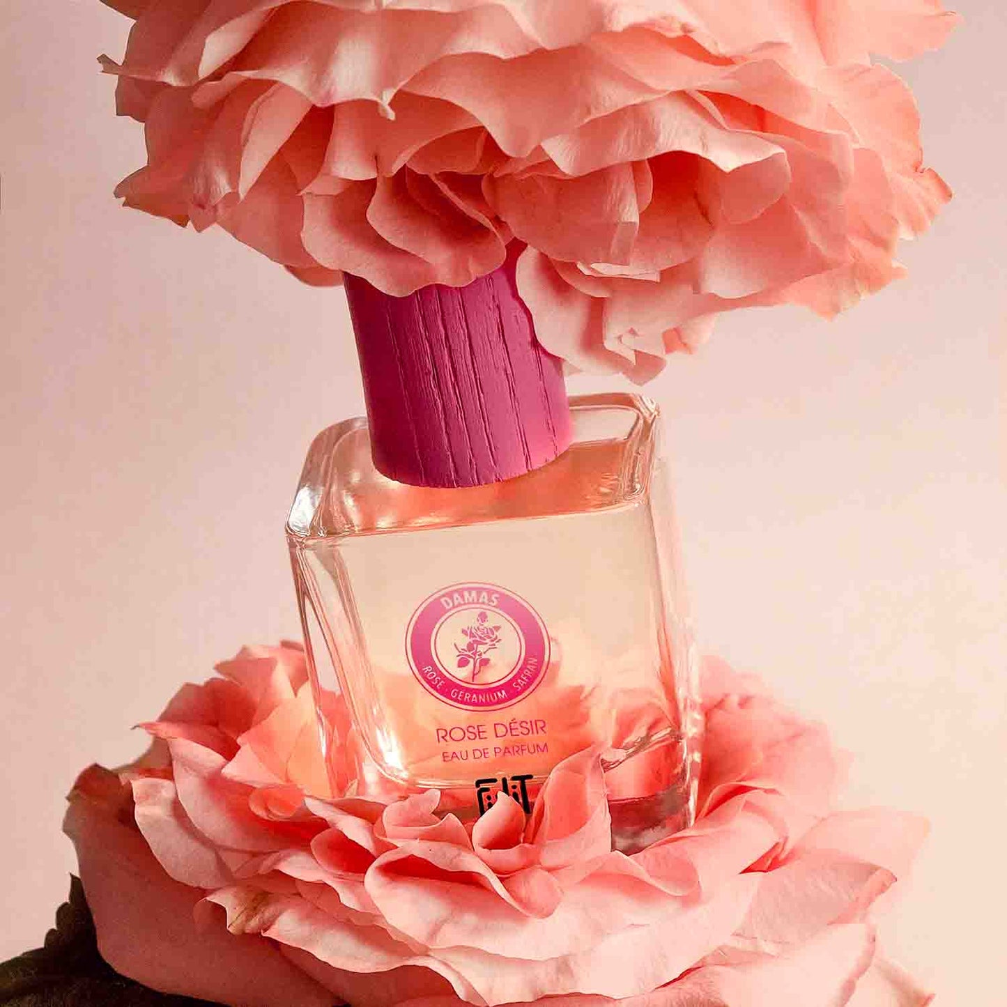 ROSE DÉSIR - DAMAS Eau de Parfum