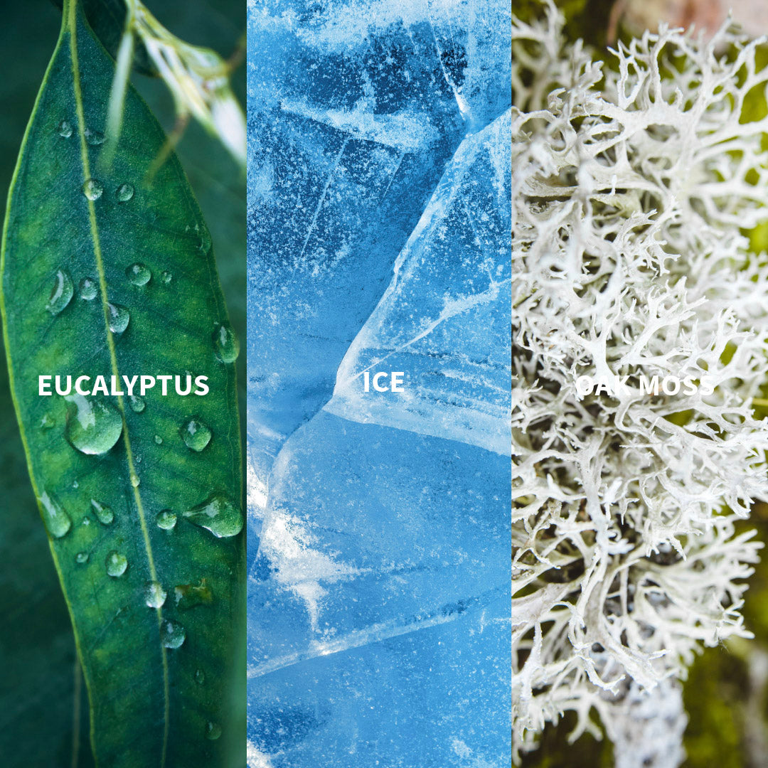 ICE - BOREAL Recharge Eau de Parfum