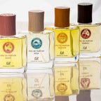 The Collector Trio (Sealed Edition - Buy 2 Get 1 Free)