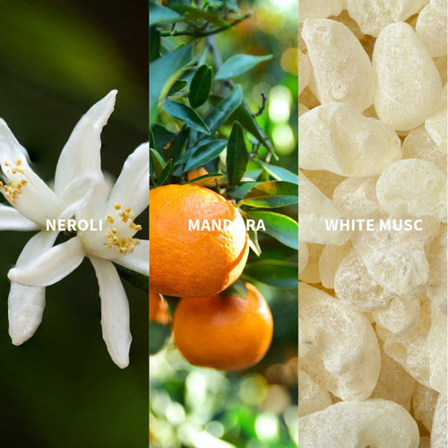 AMANTE - ANDALUCÍA Eau de Parfum - FiiLiT Parfum du voyage50mLAMANTE - ANDALUCÍA Eau de Parfum