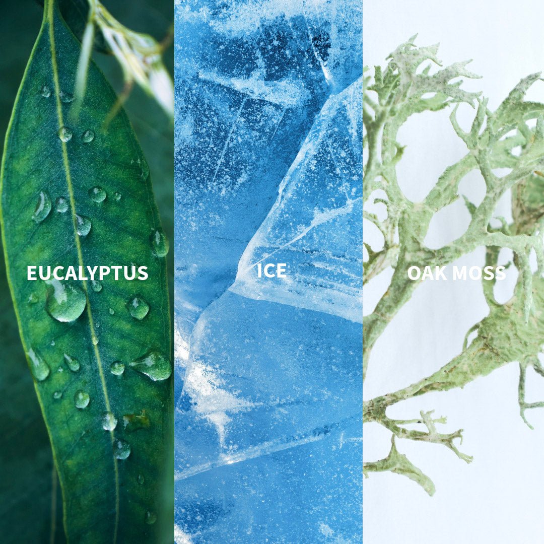 ICE - BOREAL Eau de Parfum - FiiLiT Parfum du voyage50mLICE - BOREAL Eau de Parfum