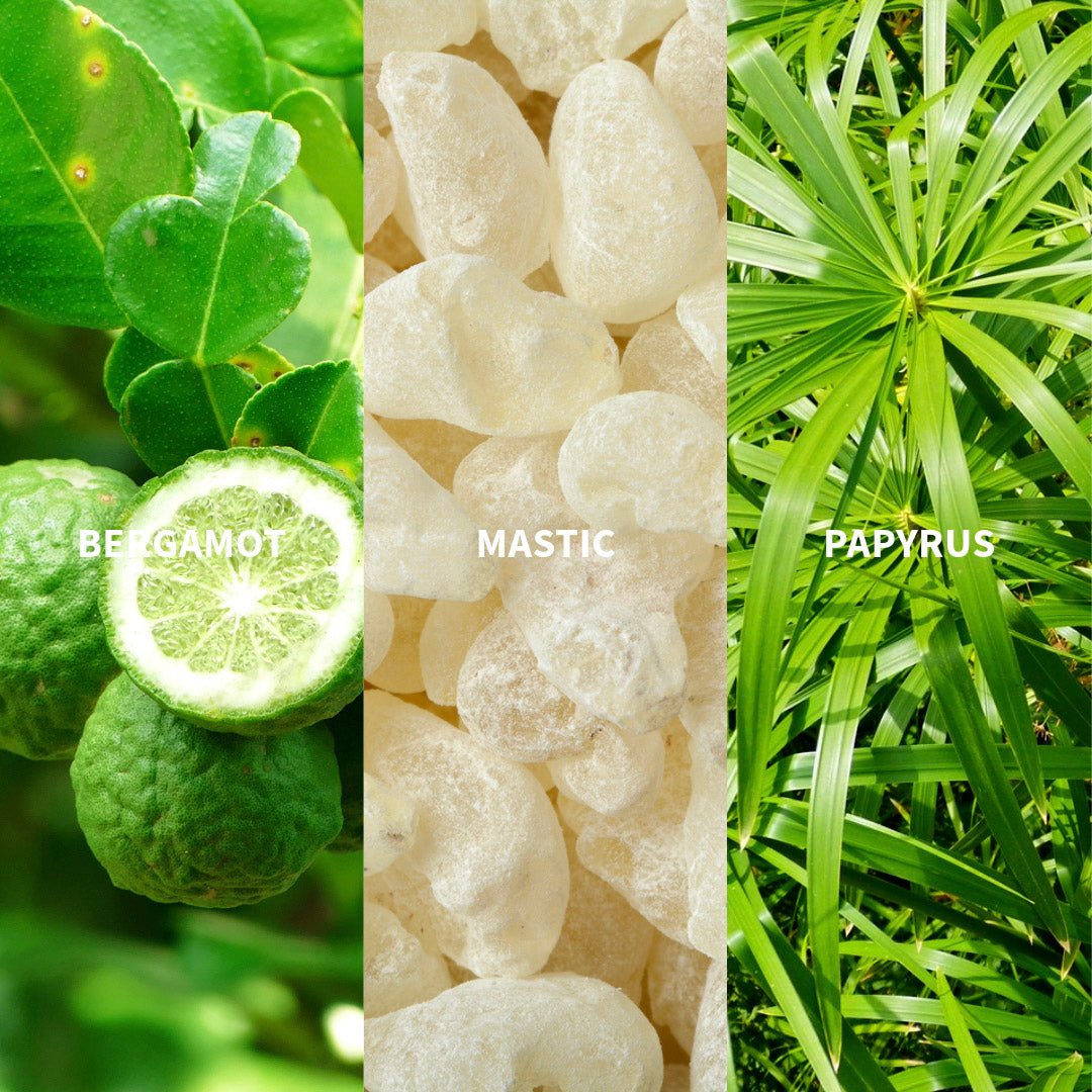 IRIDA - CYCLADES Eau de Parfum - FiiLiT Parfum du voyage50mLIRIDA - CYCLADES Eau de Parfum