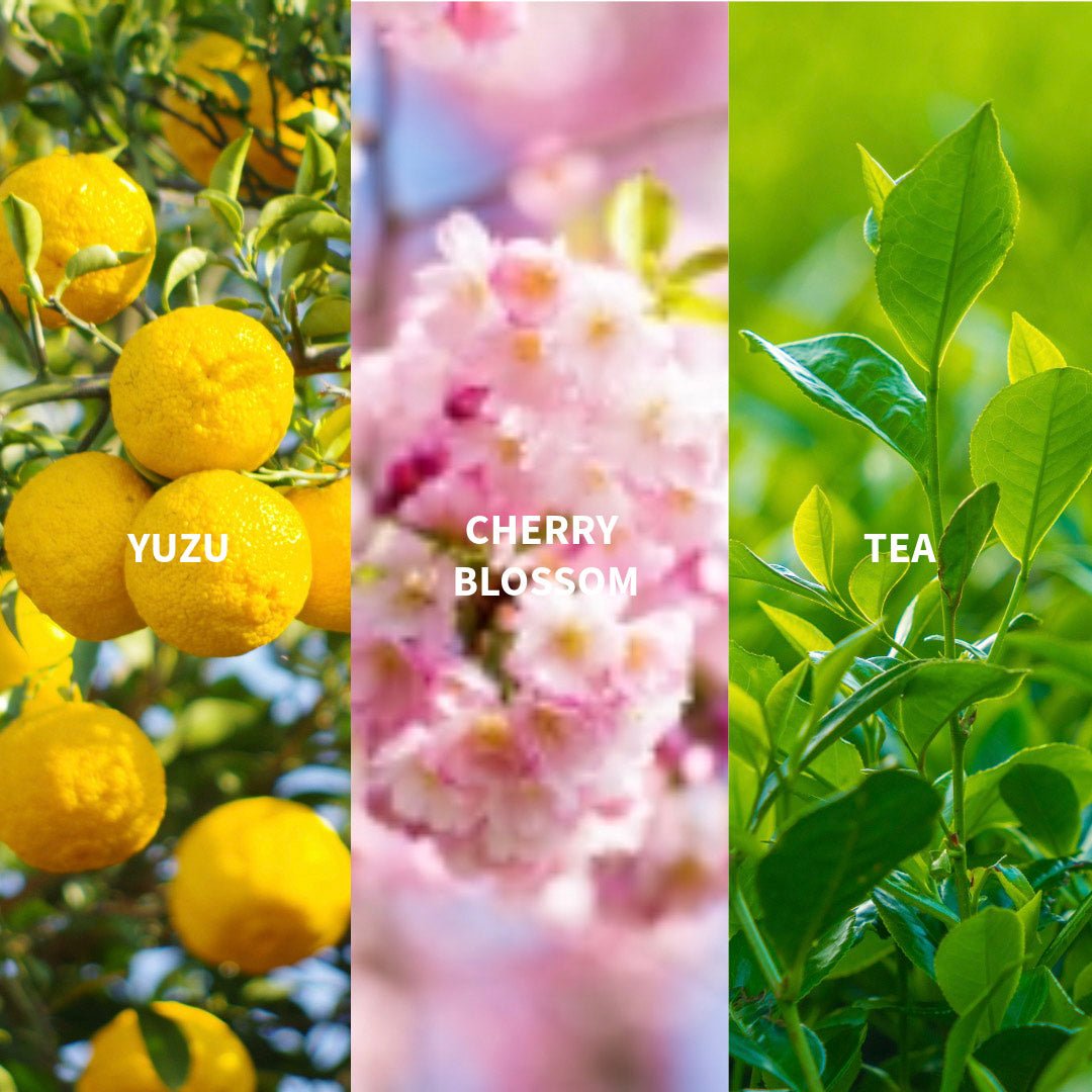 KADO - JAPON Eau de Parfum - FiiLiT Parfum du voyage50mLKADO - JAPON Eau de Parfum