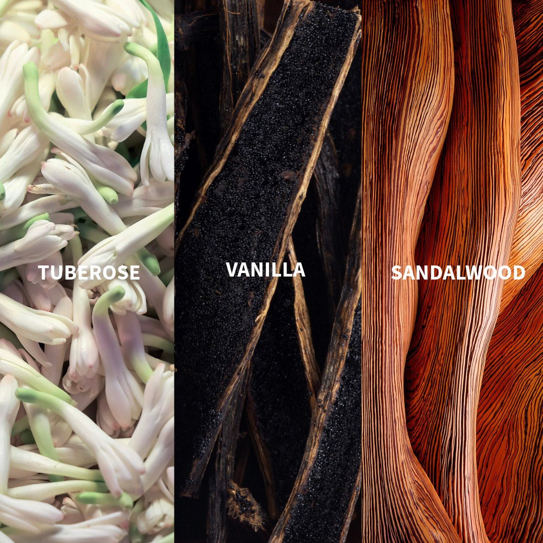 LA PERLA MAYA - YUCATÁN Eau de Parfum - FiiLiT Parfum du voyage50mLLA PERLA MAYA - YUCATÁN Eau de Parfum