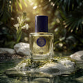 LA PERLA MAYA - YUCATÁN Eau de Parfum - FiiLiT Parfum du voyage50mLLA PERLA MAYA - YUCATÁN Eau de Parfum