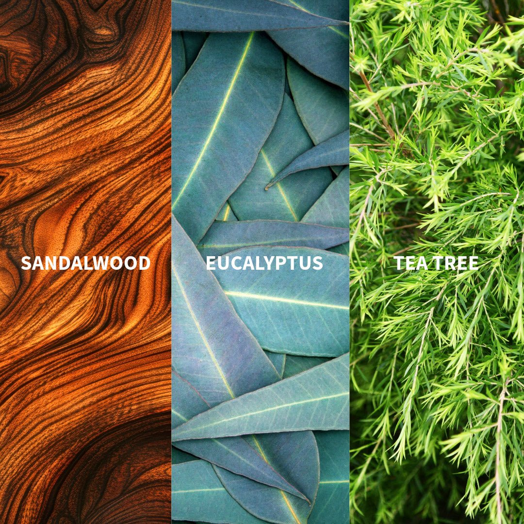 LE TEMPS DES SONGES - AUSTRALIA Eau de Parfum - FiiLiT Parfum du voyage50mLLE TEMPS DES SONGES - AUSTRALIA Eau de Parfum