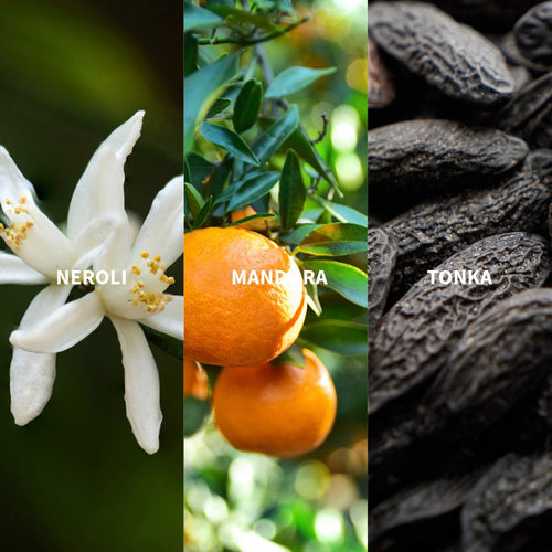 MAZHAR - ATLAS Eau de Parfum - FiiLiT Parfum du voyage50mLMAZHAR - ATLAS Eau de Parfum