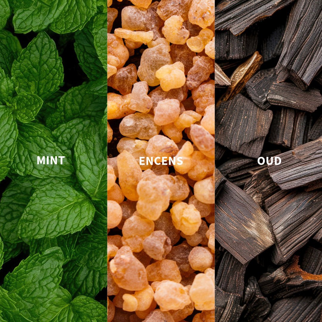 MUSHUSSU - BABYLONIA Eau de Parfum - FiiLiT Parfum du voyage50mLMUSHUSSU - BABYLONIA Eau de Parfum