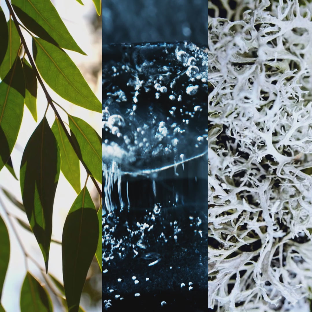 ICE Boreal - les matieres premieres naturelles de l'eau de parfum FiiLiT en video