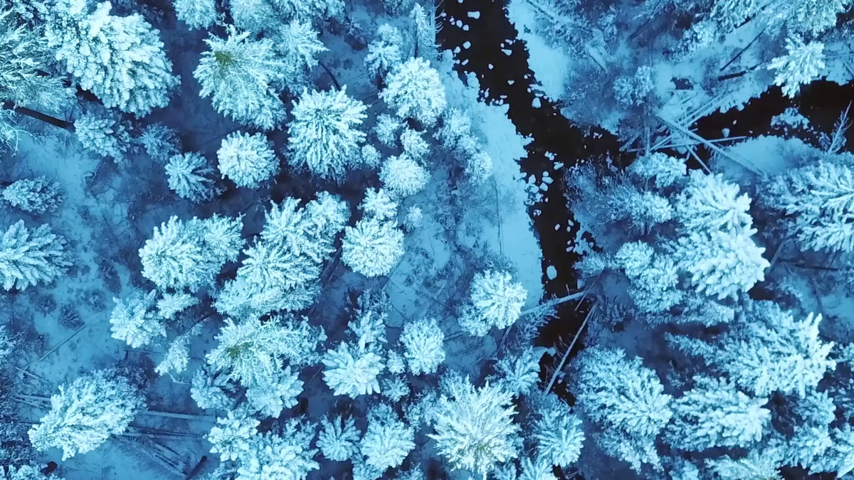 ICE Boreal - Eau de Parfum FiiLiT, video de presentation du parfum