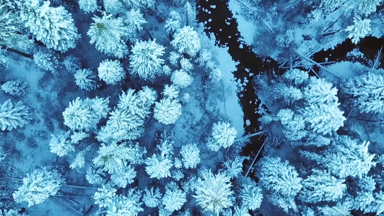 ICE Boreal - Eau de Parfum FiiLiT, video de presentation du parfum
