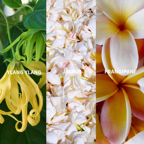 SURYA - BALI Eau de Parfum - FiiLiT Parfum du voyage50mLSURYA - BALI Eau de Parfum