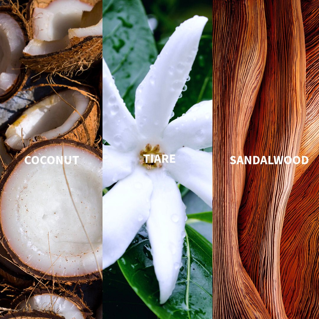 TEHANI - POLYNESIE Eau de Parfum - FiiLiT Parfum du voyage50mLTEHANI - POLYNESIE Eau de Parfum