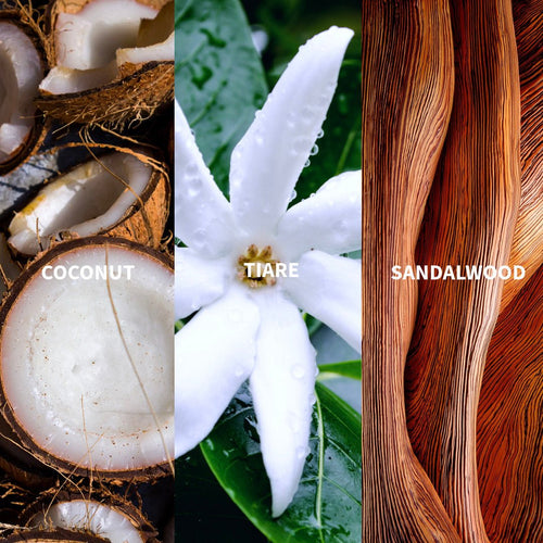 TEHANI - POLYNESIE Eau de Parfum - FiiLiT Parfum du voyage50mLTEHANI - POLYNESIE Eau de Parfum