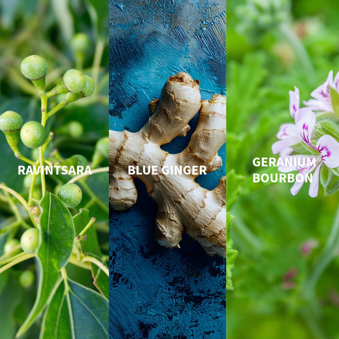 WAKA - MADAGASCAR Eau de Parfum - FiiLiT Parfum du voyage50mLWAKA - MADAGASCAR Eau de Parfum